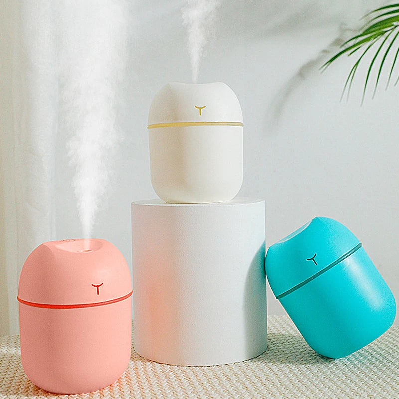Mini Humidifier for Pet Homes
