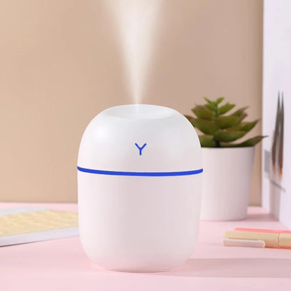 Mini Humidifier for Pet Homes