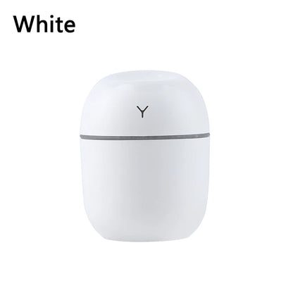 Mini Humidifier for Pet Homes