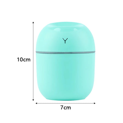 Mini Humidifier for Pet Homes